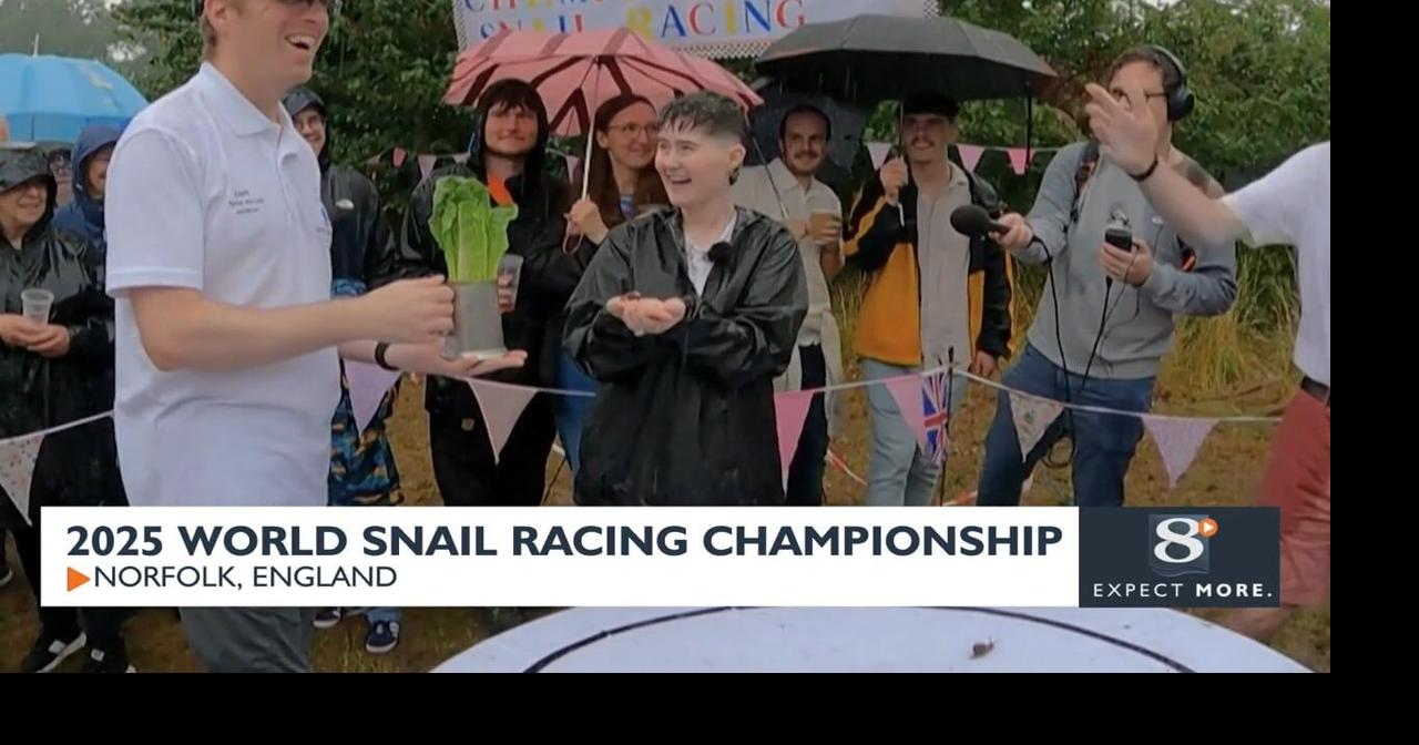 2025 World Snail Racing Championship | News | news8000.com