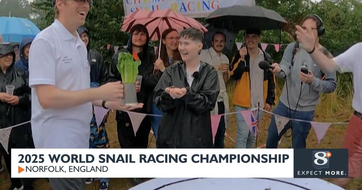 Snail Racing Team 2025 World Snail Racing Championship | News | news8000.com