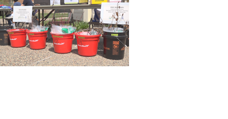 Winona State Landscape Arboretum offers free tree seedlings for Arbor Day - Vimarsana News