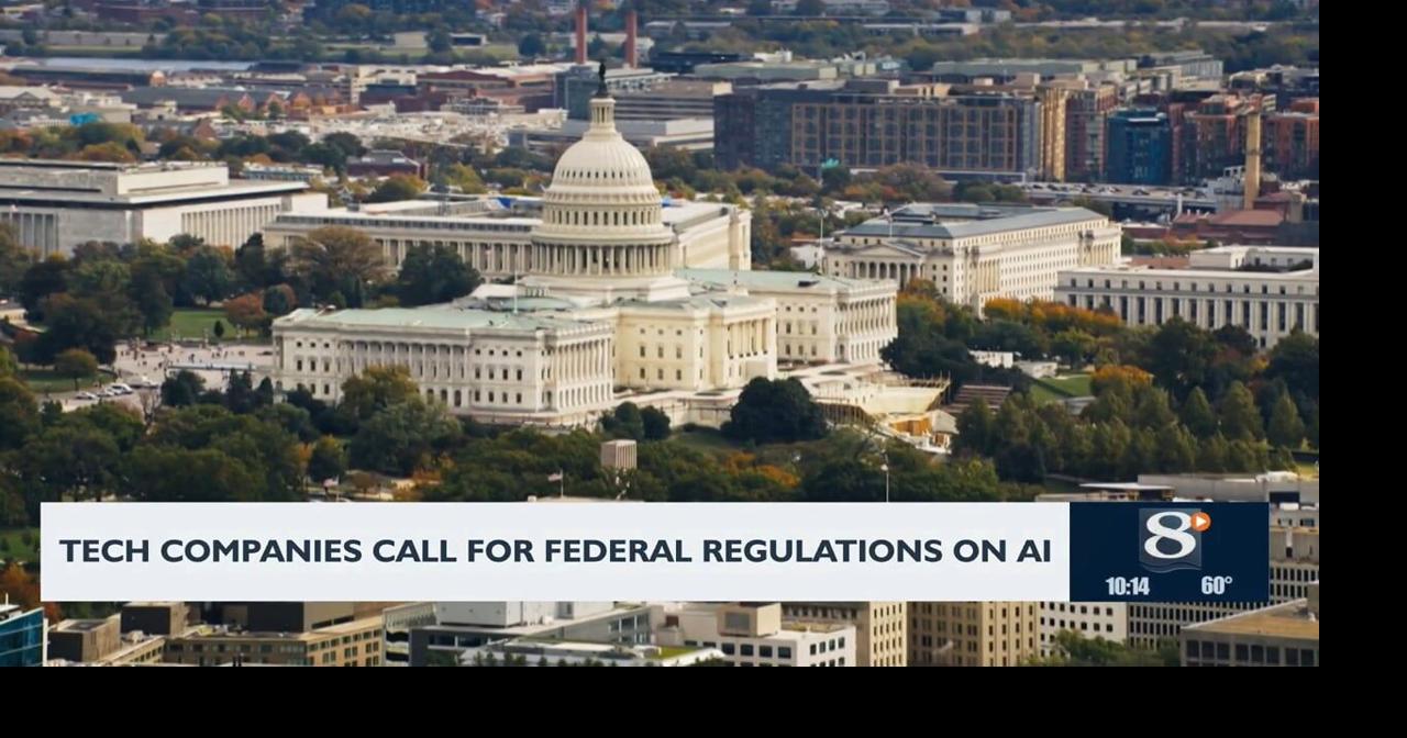 Tech companies call for federal regulations on AI
