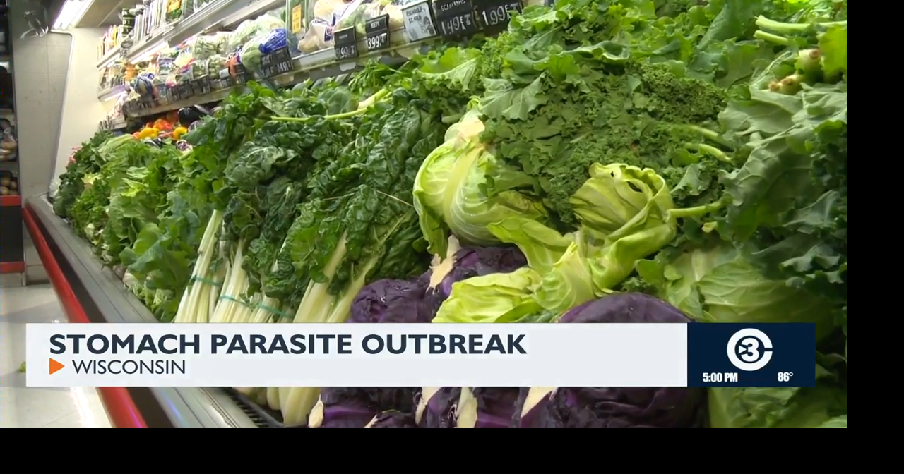Doctors urge produce washing after diarrhea-causing parasite outbreak sickens 145 Tanaisa Shaw Jul 7, 2026 14 hrs ago