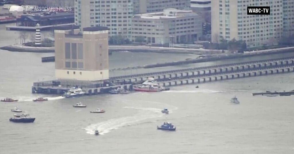 Tourist helicopter hit flock of birds before crashing into the Hudson River last April, NTSB says