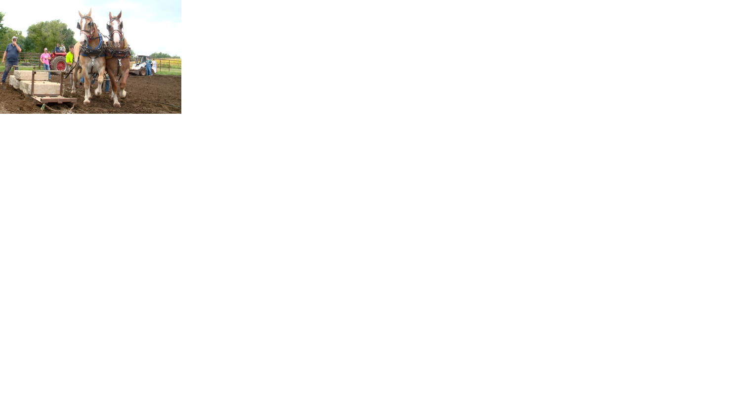 Bangor community pays tribute to horse pulling royalty