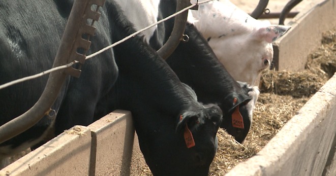 Wisconsin farmers urge Congress to pass new farm bill