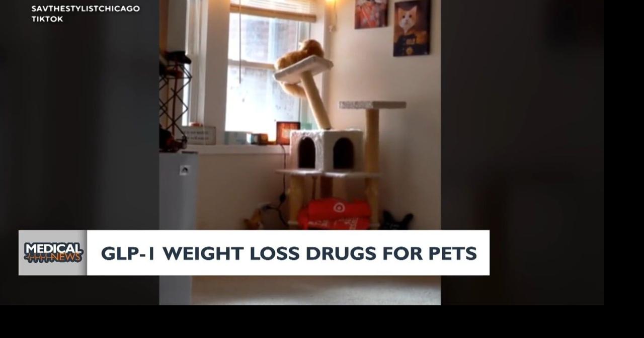 Medical News: GLP-1 Weight Loss Drugs For Pets