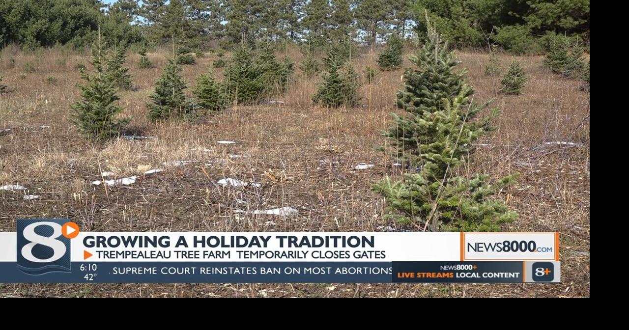 Trempealeau family tree farm closing ahead of Christmas season, family