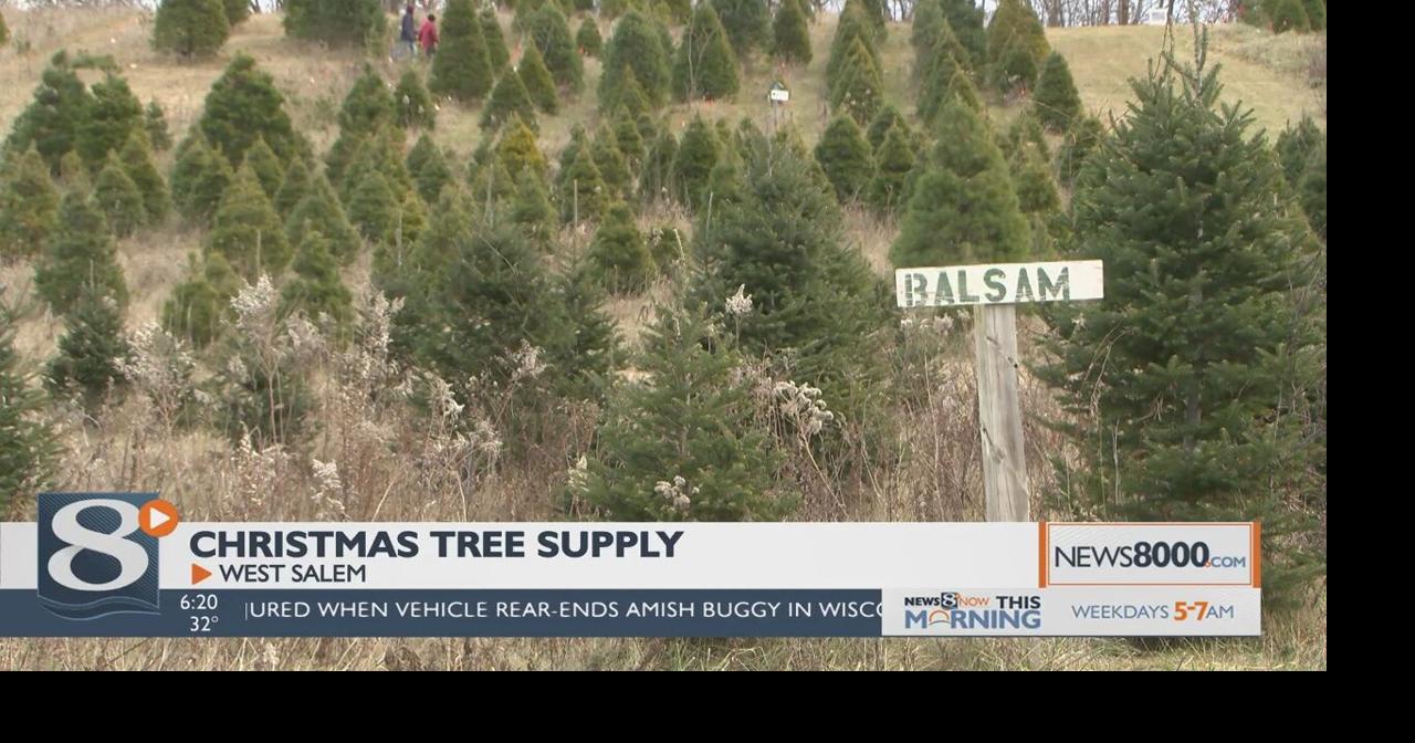 West Salem Christmas tree farm opens for season with no shortage of