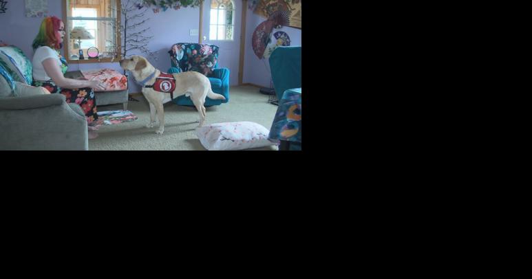 Onalaska woman in need of service dog winds up bringing disability equality to state law - Vimarsana News