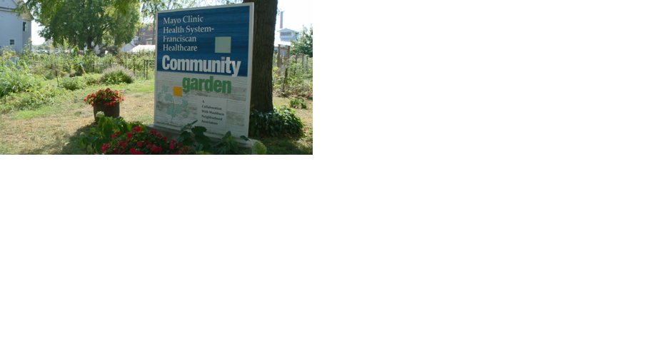 Mayo Clinic Health System sells land containing Washburn Community Garden to real estate developer - Vimarsana News