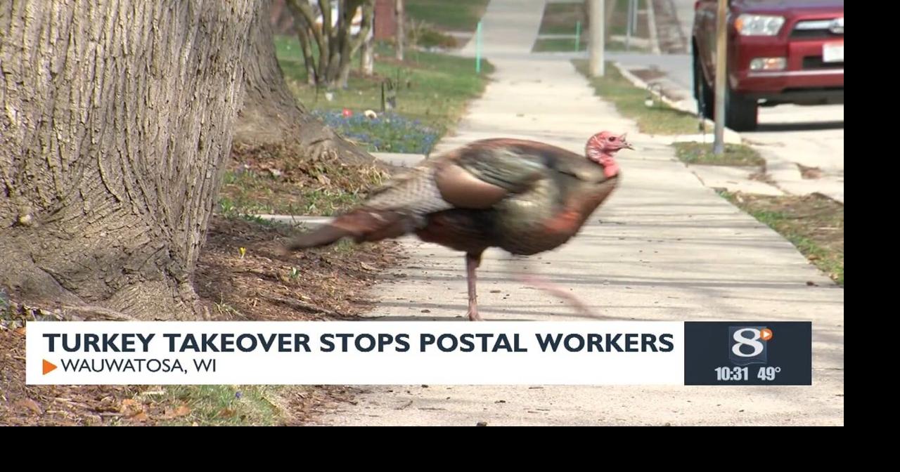 Turkey takeover stops postal workers