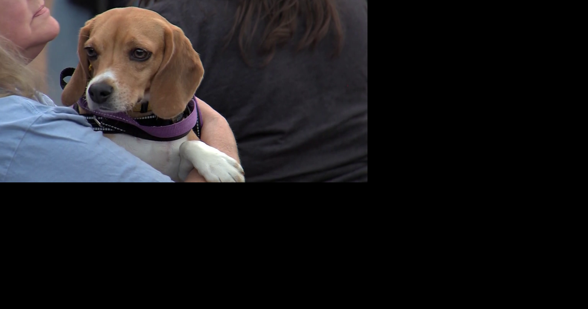 Reunion marks Ridglan Farms closure and renews fight against animal testing