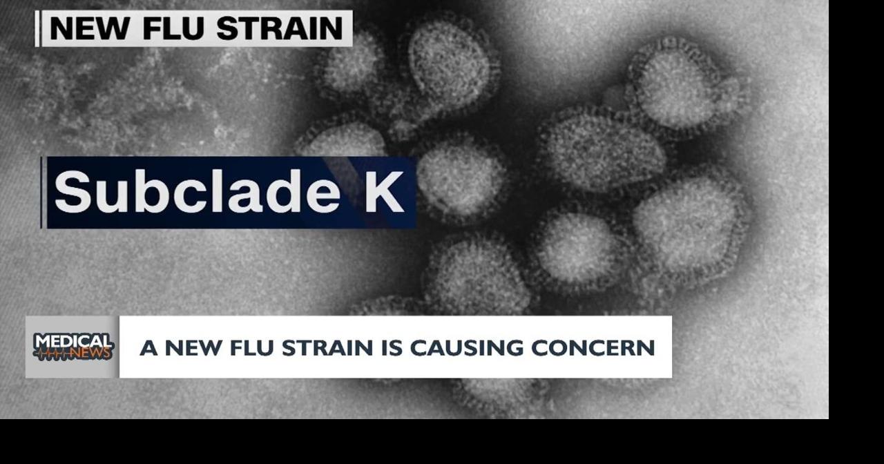 Medical News: New flu strain causes concern among holiday travel