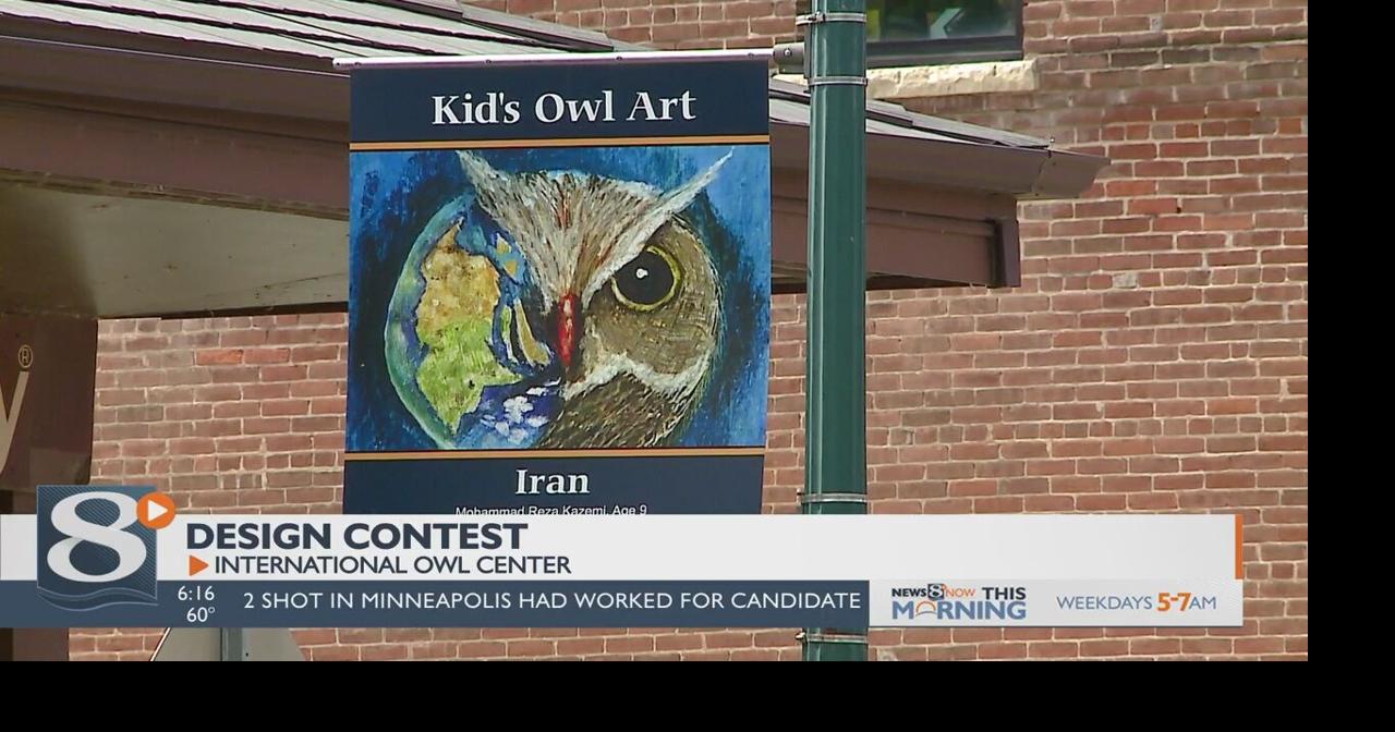 Enter the International Owl Contest Contests