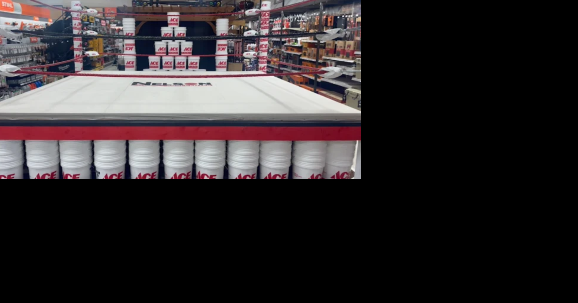Ace Hardware's WWE-themed fundraiser supports Children's Miracle Network