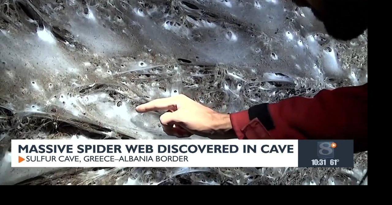 Massive spider web discovered in cave