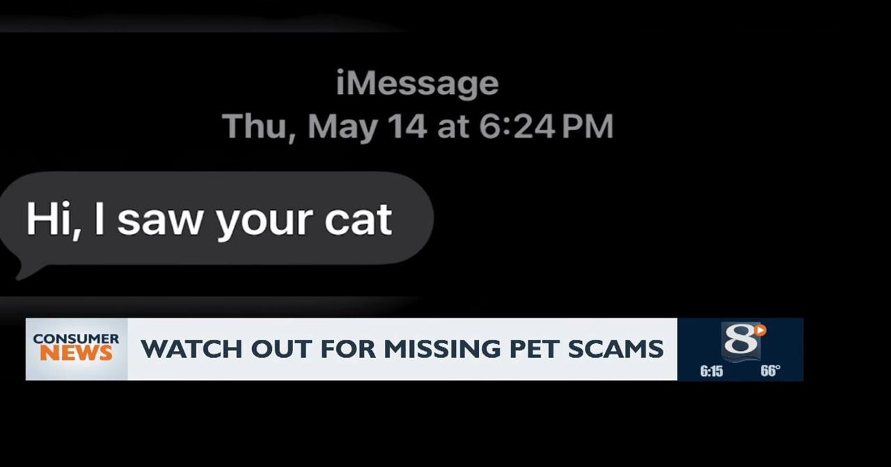Consumer Headlines: Missing Pet Scams
