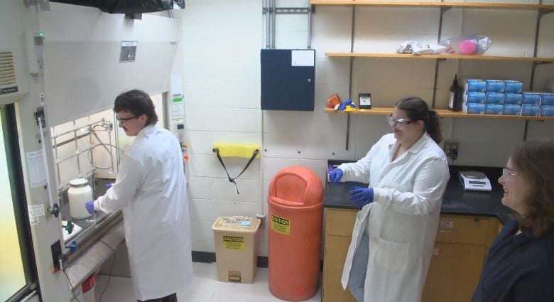 UW-Eau Claire Chemistry Students Conduct Research For U.S. Military ...