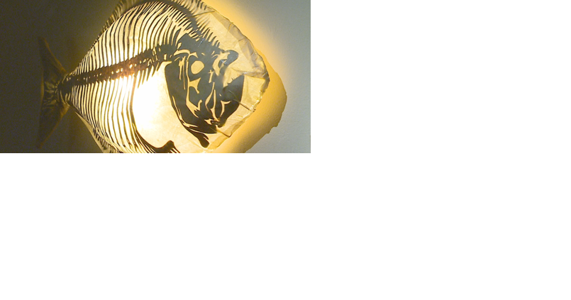 Minnesota Marine Art Museum makes a splash with three new exhibits - Vimarsana News