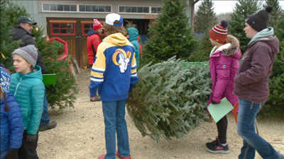 Snowy Ridge Christmas Tree Farm opens for the season | Local News ...