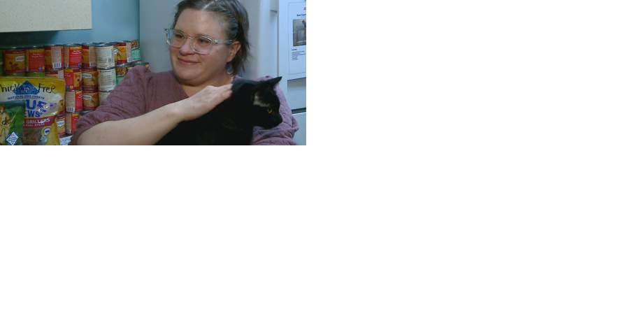 Teacher volunteers at humane society, dedicates time to helping animals in need - Vimarsana News