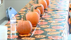 Holmen Celebrates Fifth Annual Pumpkin Fest