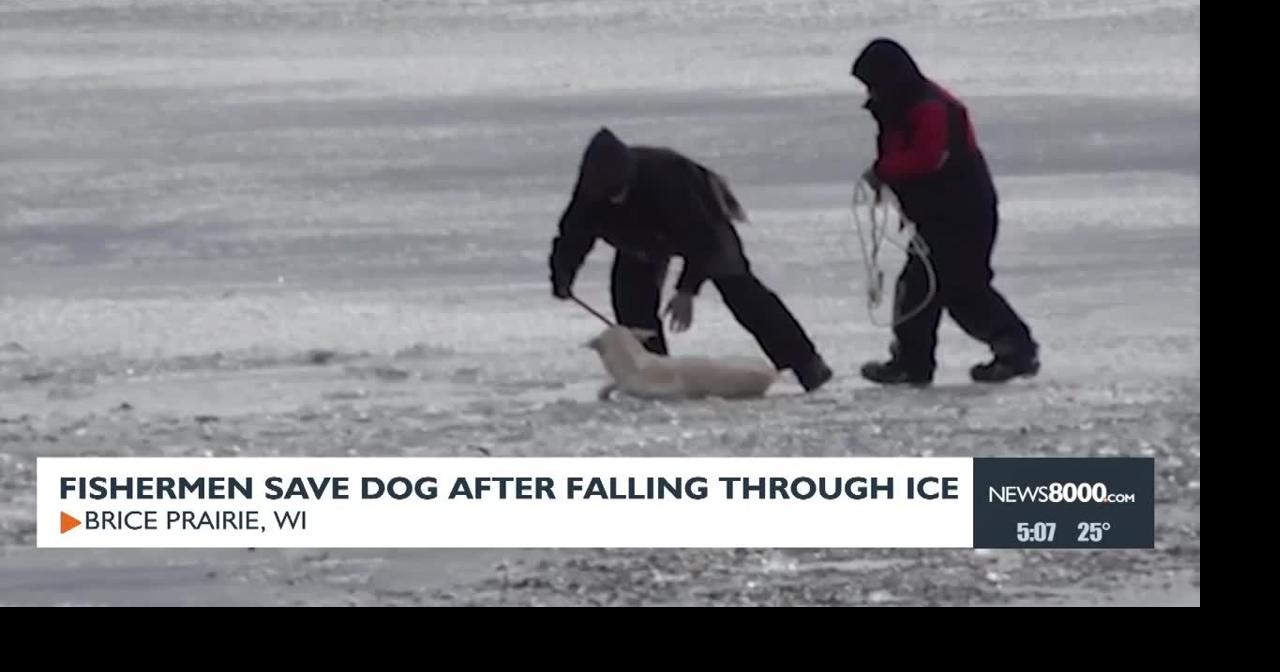 Fishermen Save Dog After Falling Through Ice