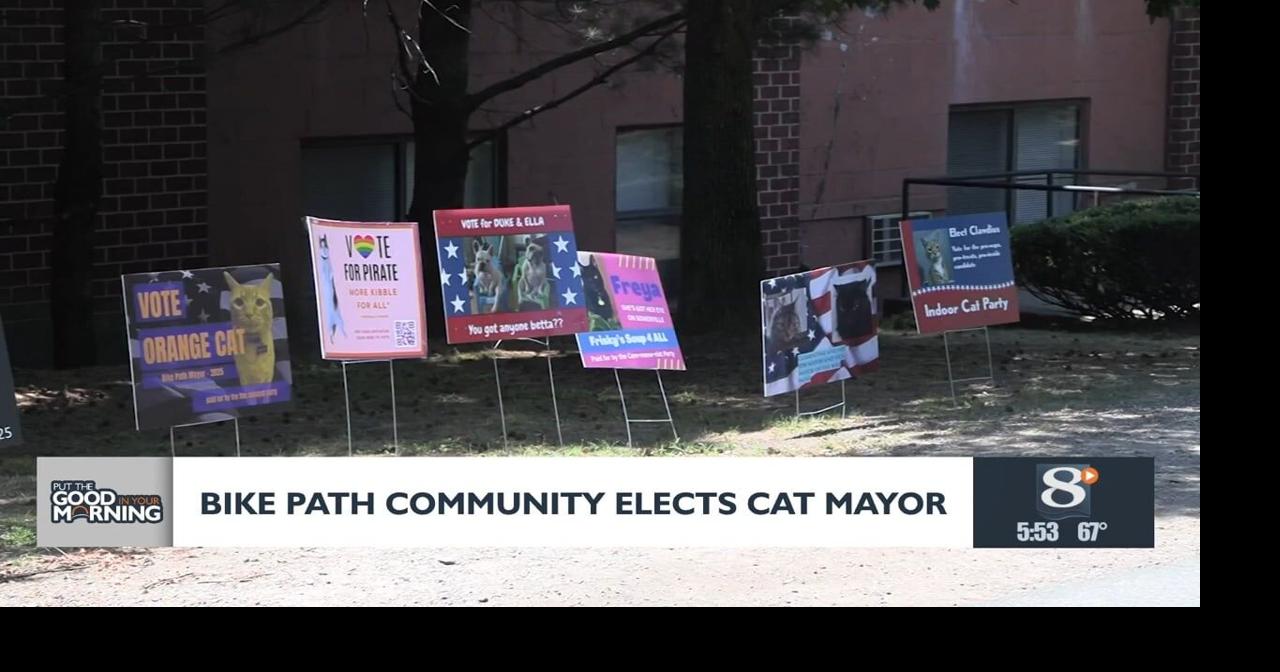 Massachusetts community elects cat as mayor