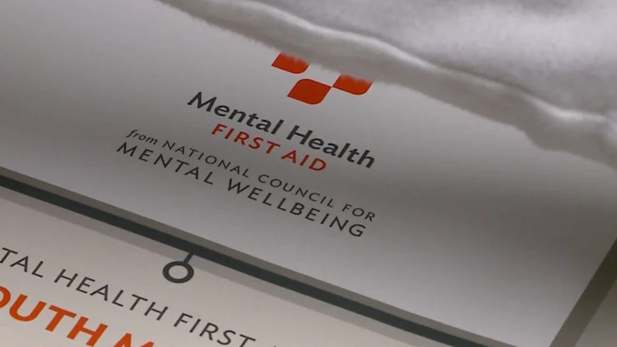 Mental health organizations offer youth first aid training during ...