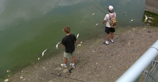 Minnesota DNR logs 202 fish kill reports as heat wave pushes lake temps to 88 degrees By Derek James Jul 21, 2026 Jul 21, 2026 Updated 5 mins ago