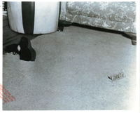 洋楽 Midwest Connect Records Crime Scene Crime Scene Photos | | news8000.com