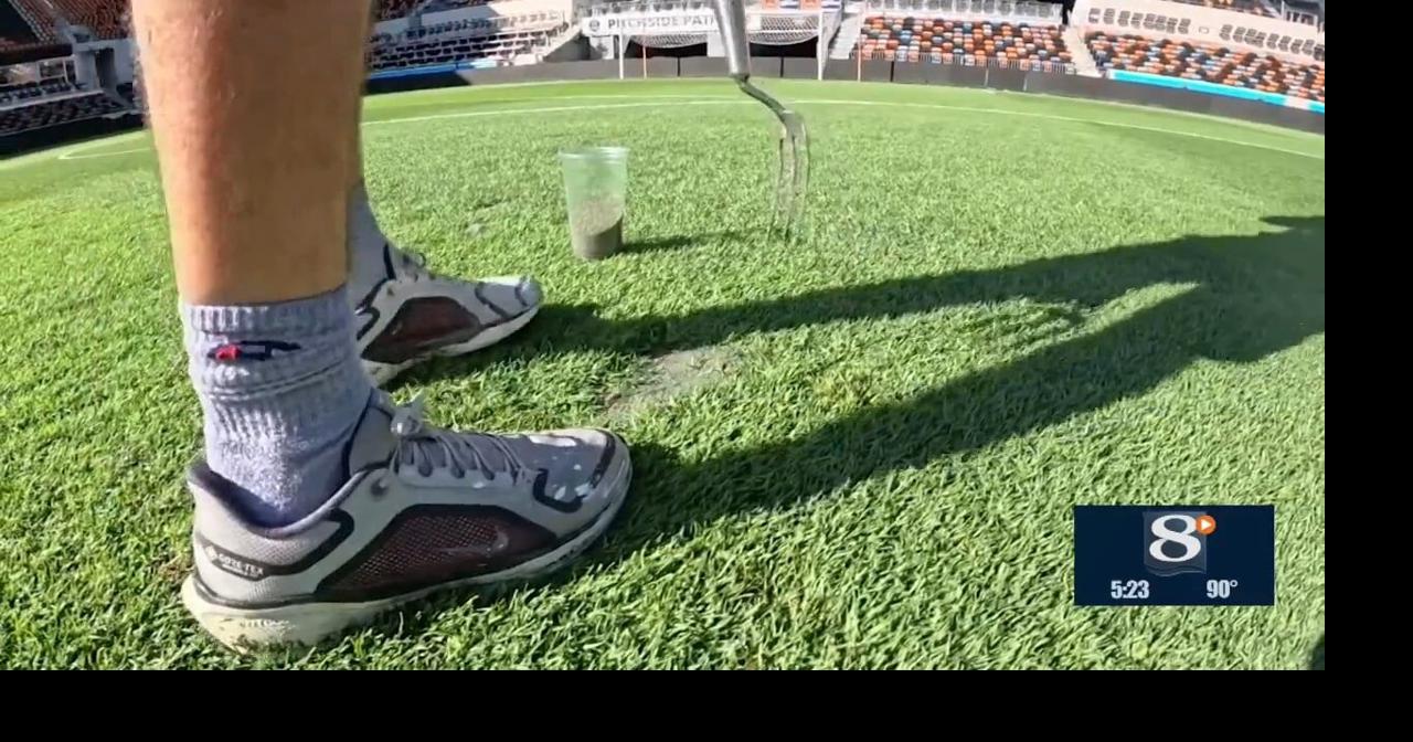 World Cup grass guy | News | news8000.com