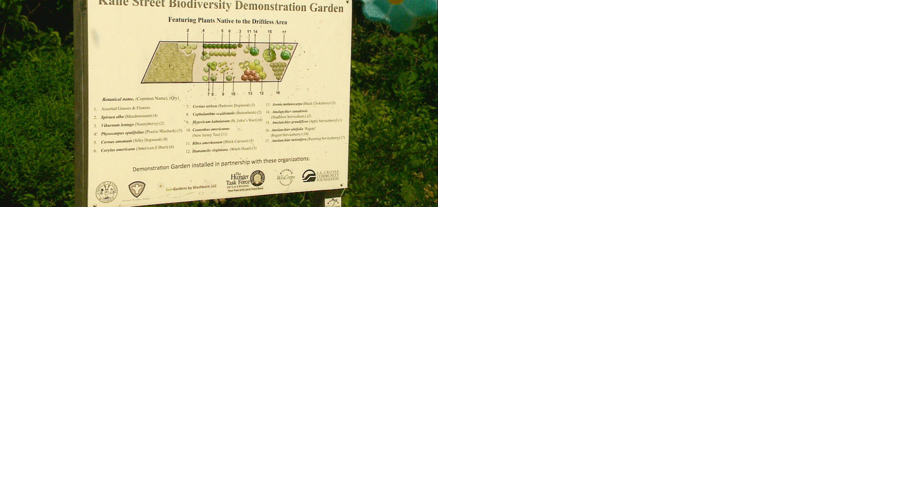 The Hunger Task Force of La Crosse host Open House at Kane Street Community Garden - Vimarsana News