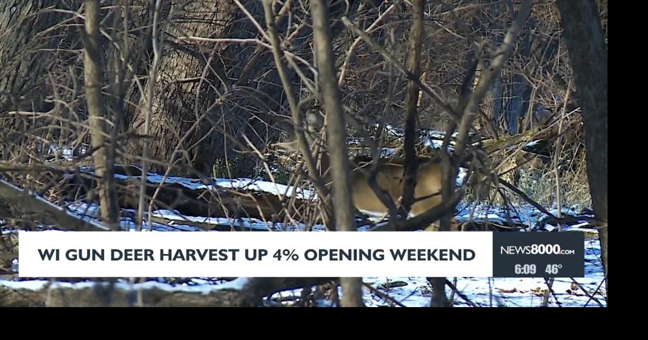Wisconsin gun deer harvest up 4% opening weekend