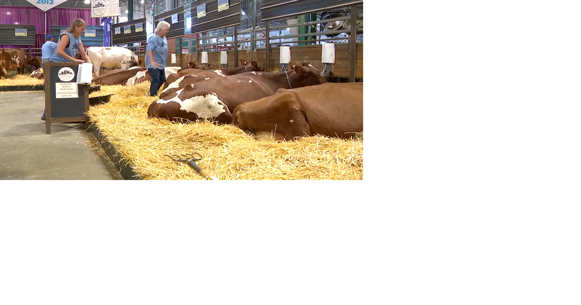 What happens behind the scenes in the Minnesota State Fair's livestock barns? By Jeff Wagner Sep 6, 2026 Sep 6, 2026 Updated 2 mins ago