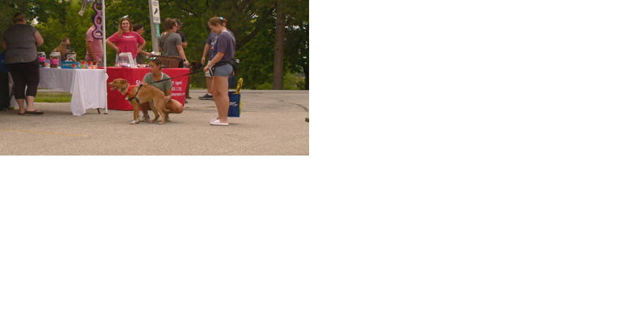 Onalaska Parks and Recreation host second annual Barks in the Park - Vimarsana News