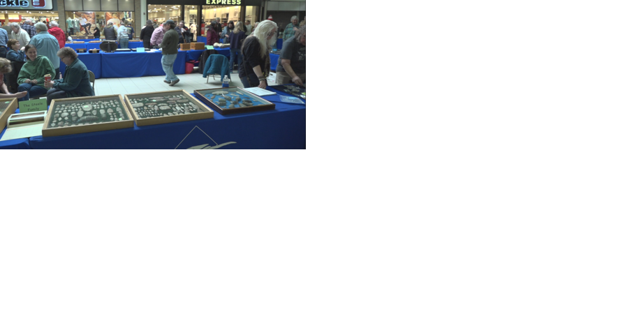 Valley View Mall plays host to Annual Artifact Show - Vimarsana News