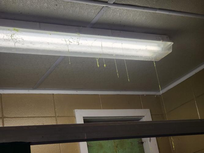 Restrooms in West Salem's Village Park vandalized West Salem