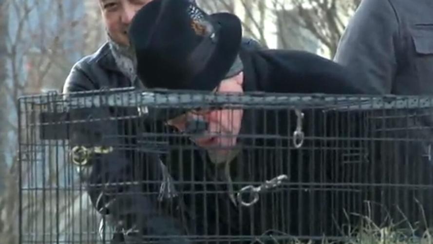 Sun Prairie groundhog predicts more winter | News | news8000.com