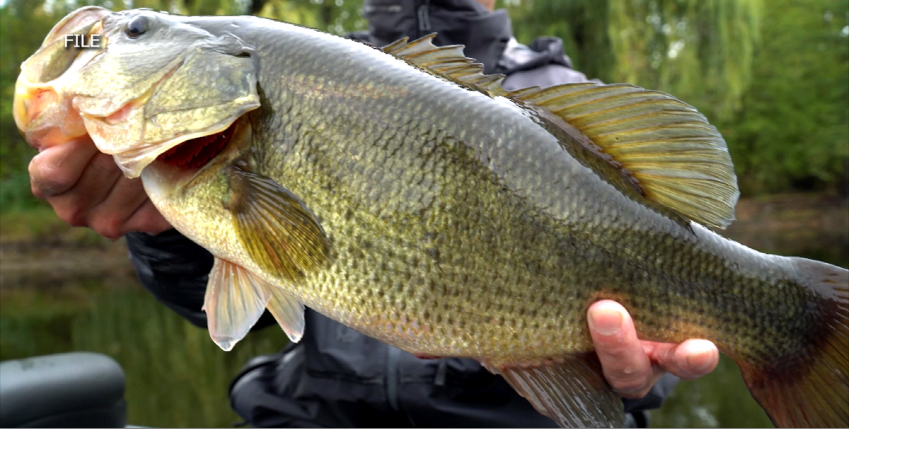Minnesota launching new electronic licensing system for hunting and fishing in June