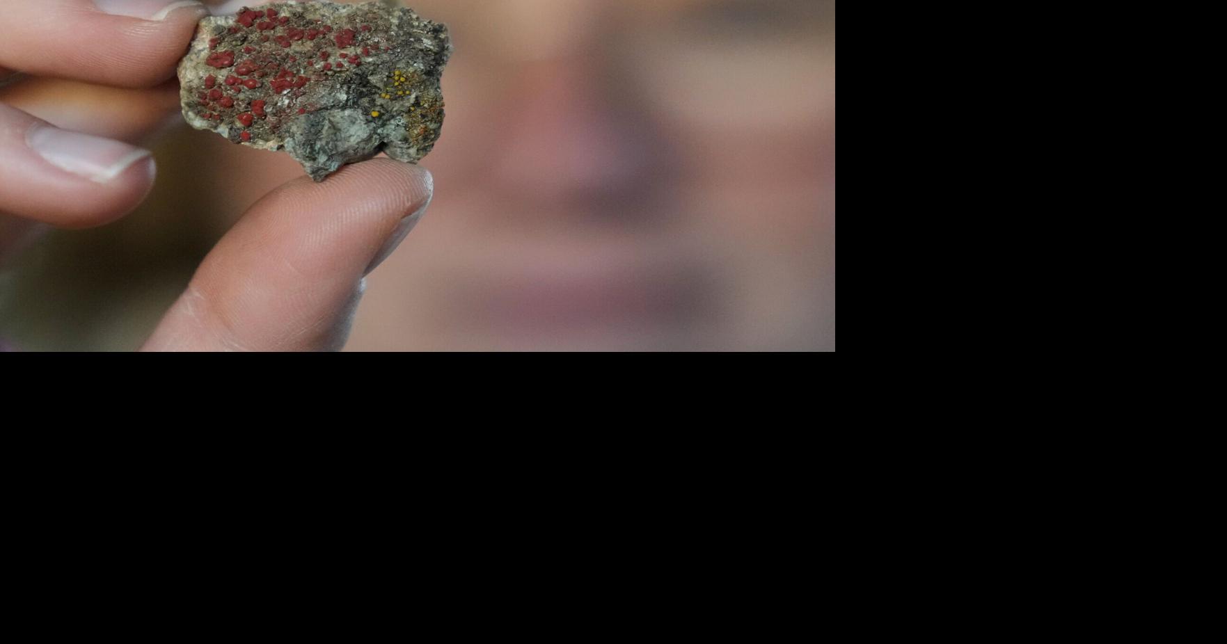 Scientists, aficionados teaming up to learn more about mystical, overlooked fungi