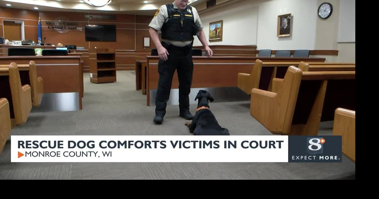 Rescue Dog Comforts Victims in Court