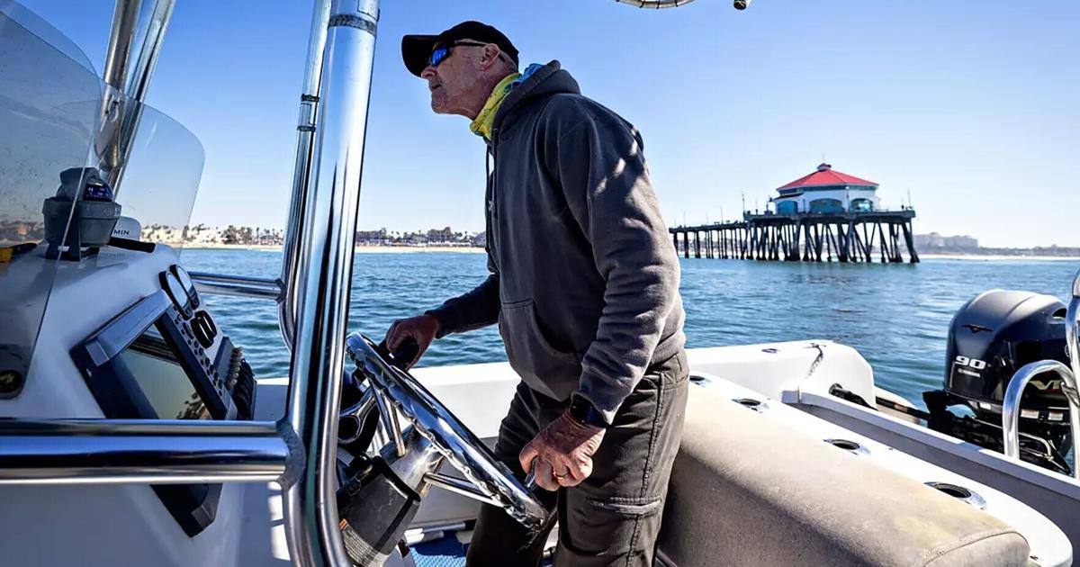 As great whites and humans share the waters, shark lab runs out of funding