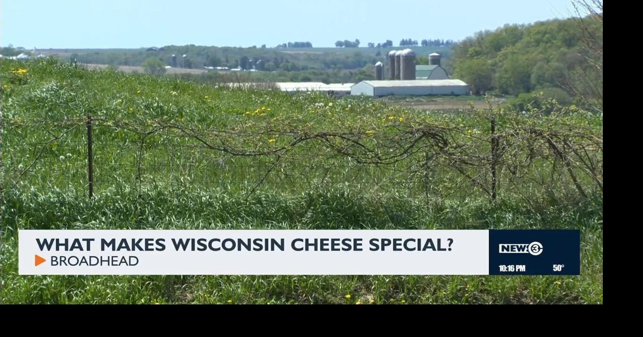Wisconsin celebrates cheesemaking tradition ahead of America's 250th birthday Tanaisa Shaw May 21, 2026 12 hrs ago