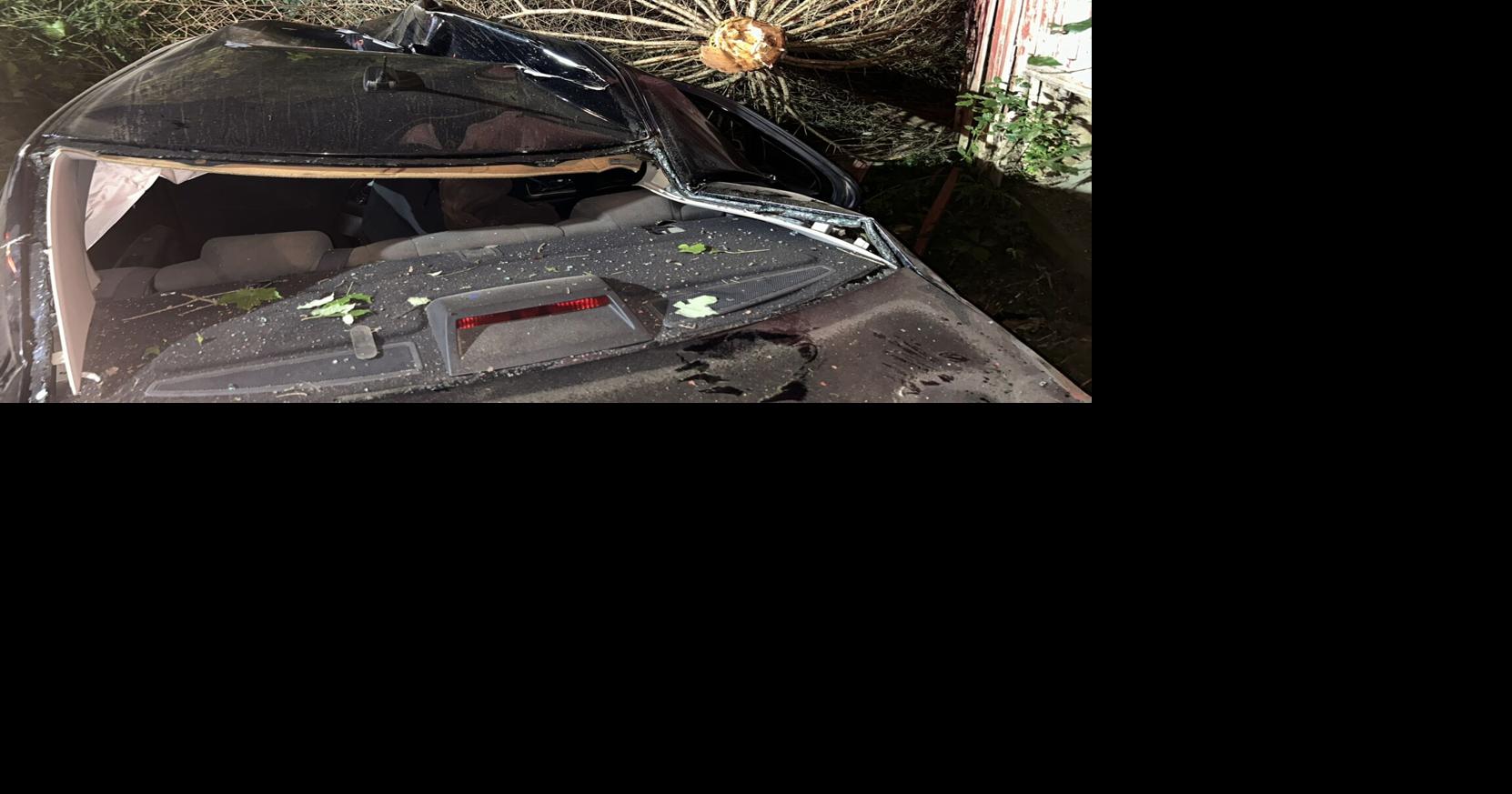 Singlevehicle crash takes down tree in Viroqua, driver released from