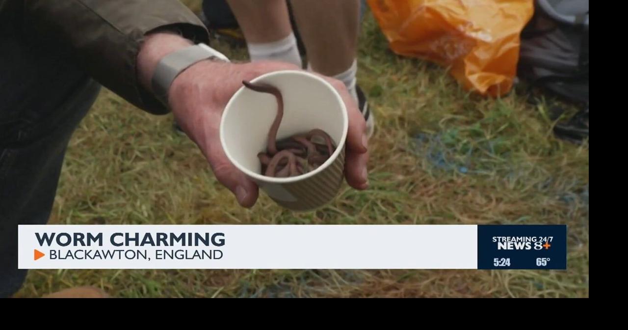 Worm Charming | News | news8000.com