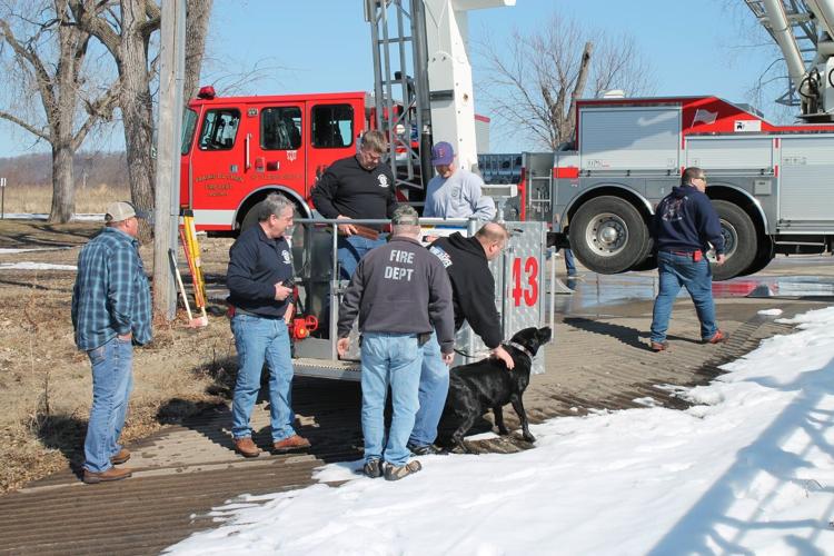 Prairie du Chien firefighters save dog and get plenty of kisses in
