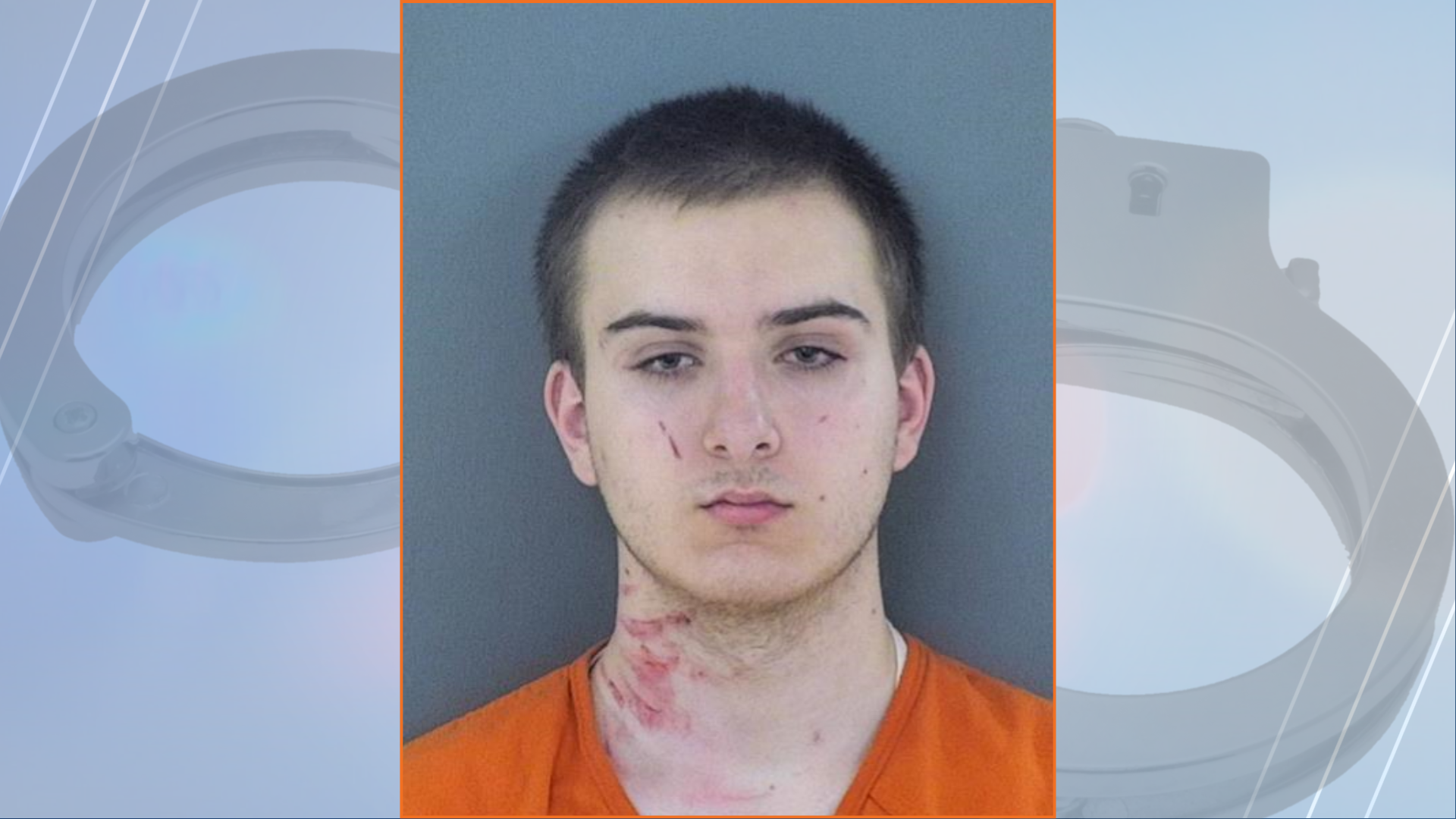 Eau Claire man takes plea deal in Lake Hallie stabbing case | Crime ...