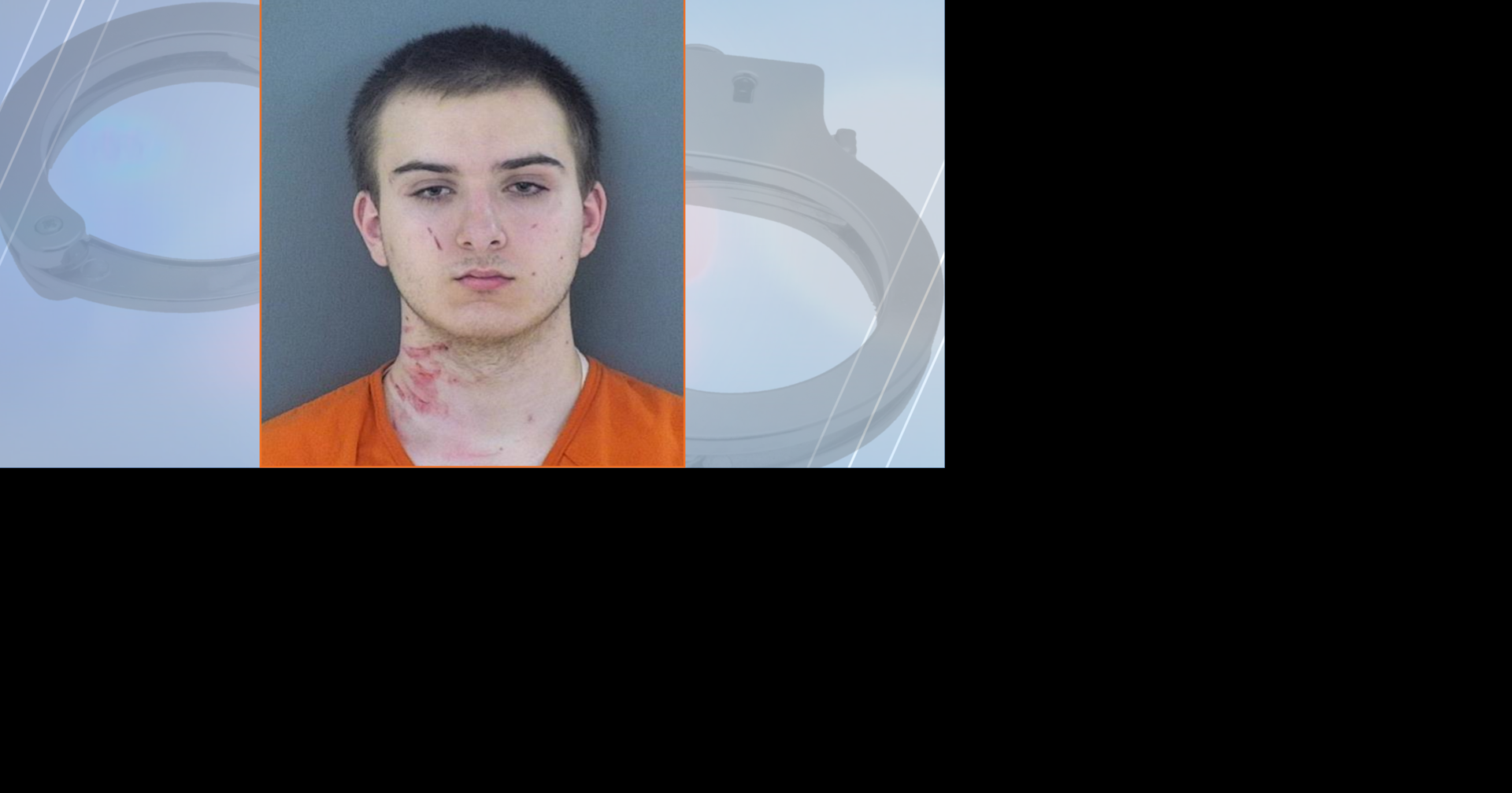Eau Claire man takes plea deal in Lake Hallie stabbing case | Crime ...