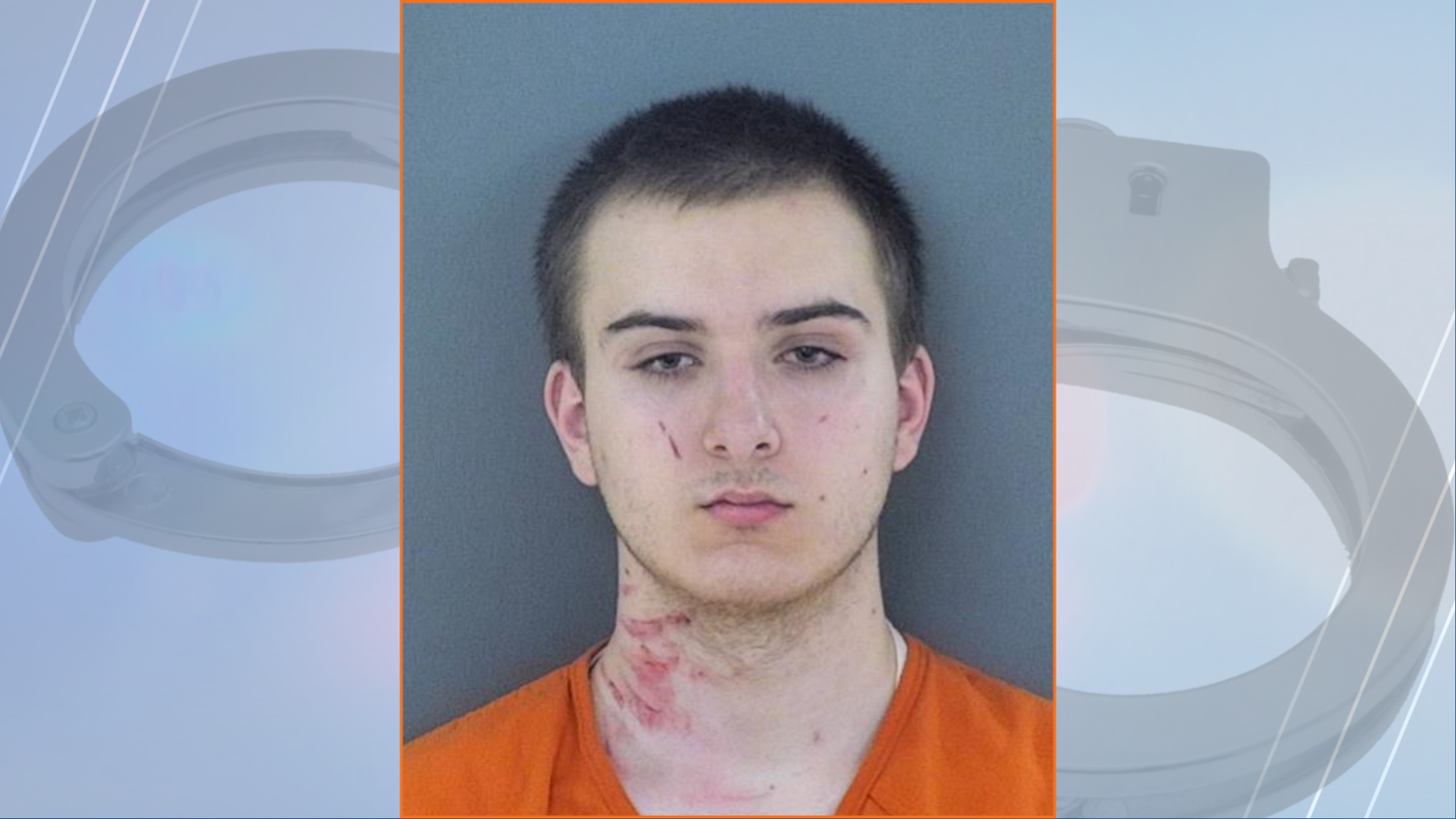 Eau Claire man takes plea deal in Lake Hallie stabbing case | Crime ...