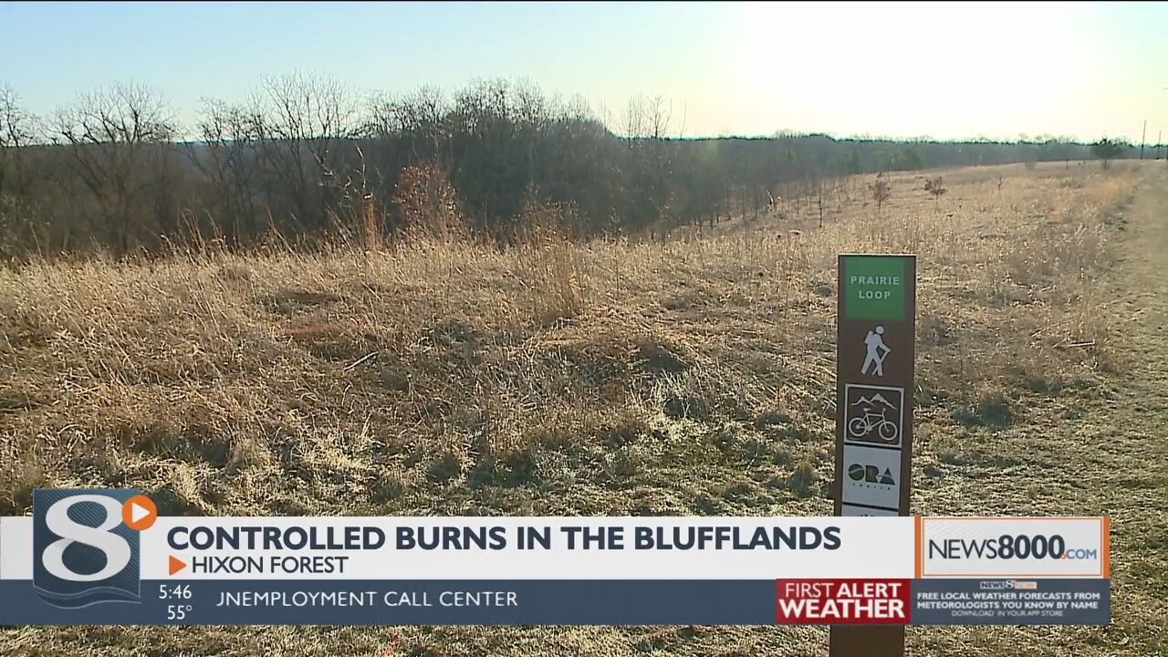Controlled burns begin on La Crosse blufflands to help native plants |  Local News | news8000.com